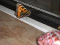 2014.26.12.Weihnachten.webp