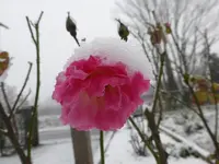 P1250110.webp