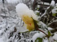 P1250128.webp