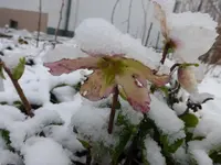 P1250119.webp