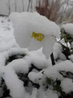 P1250121.webp