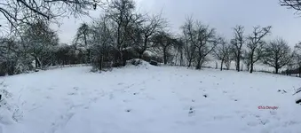 G_Wiese_oben_Panorama05_Winter_Schnee__27.12.2014_mr.ditschy.webp
