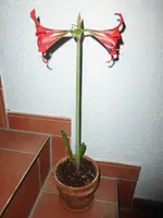 P1250157.webp
