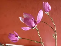 K800_P1030269.webp