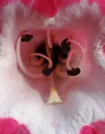 Rätsel2.webp