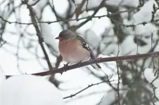 DSCF9526 (2).webp