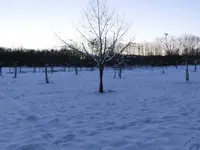 CIMG9825.webp