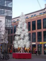 100_5650.webp
