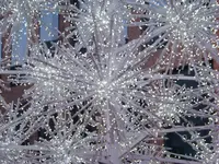 100_5652.webp