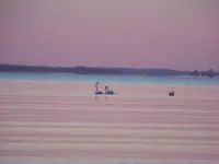 100_5635.webp