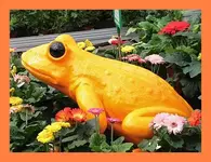 065.webp