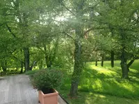 2013-05-12 19.31.52.webp