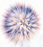 allium_explosion_2_p.jpg