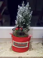 100_5602.webp