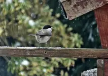 DSC_3302.webp
