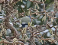 DSC_3312.webp