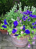 IMG_0192.webp