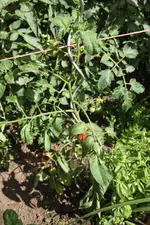 Kimberly IMG_2228.webp