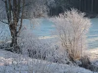DSCN0044.webp