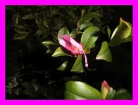 009.webp