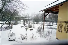 Blick in den Garten.webp