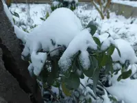 P1250537.webp
