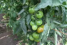 IMG_3616.webp