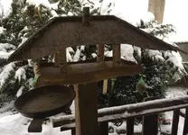G_Vogelhaus alt_Terrasse__29.12.2014_mr.ditschy.webp