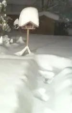 2014-12-30 22.34.22..webp