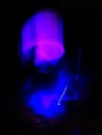 blue (45).webp
