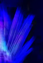 blue (44).webp