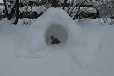 DSCF9568.webp