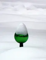 DSCN6626.webp