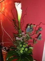 CIMG9834.webp