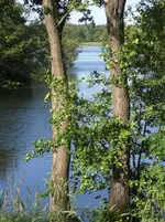 CIMG8125.webp
