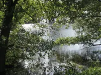 CIMG8128.webp