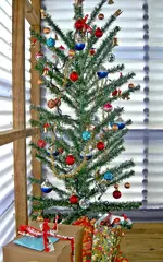 Copy of Baum v (1).webp