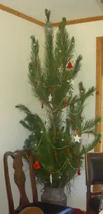 Copy of Baum v (2).webp