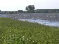 CIMG8100.webp