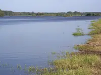 CIMG8111.webp