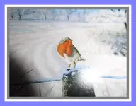 013.webp