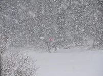DSCN0100.webp
