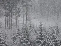 DSCN0102.webp