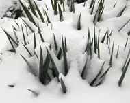 DSCN6591.webp