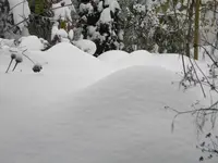 DSCN6596.webp