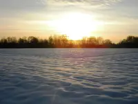 DSCN6659.webp
