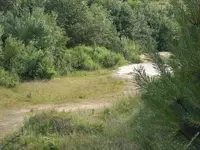Sandkuhle 171.webp