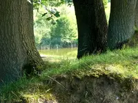Sandkuhle 4.webp