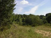 Sandkuhle 104.webp