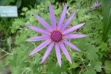 P1050011.webp